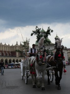 Krakow 12 June 2014 069