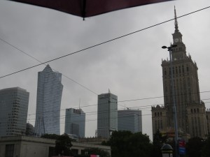 IMG_8142