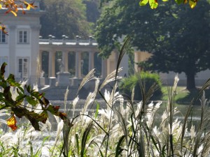 IMG_1049