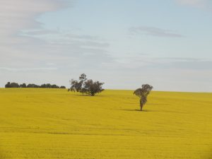 053